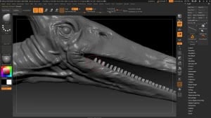 zbrush torrent